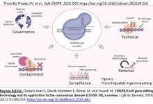 CRISPRCas9_gene_editing_technology_and_its_application_to_COVID-19